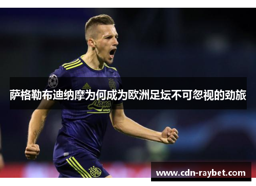 萨格勒布迪纳摩为何成为欧洲足坛不可忽视的劲旅 萨格勒布迪纳摩为何成为欧洲足坛不可忽视的劲旅