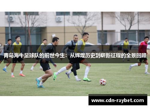 青岛海牛足球队的前世今生：从辉煌历史到崭新征程的全景回顾