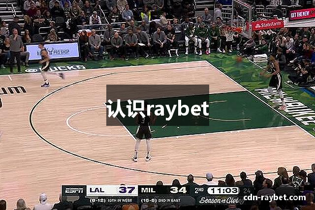 认识raybet